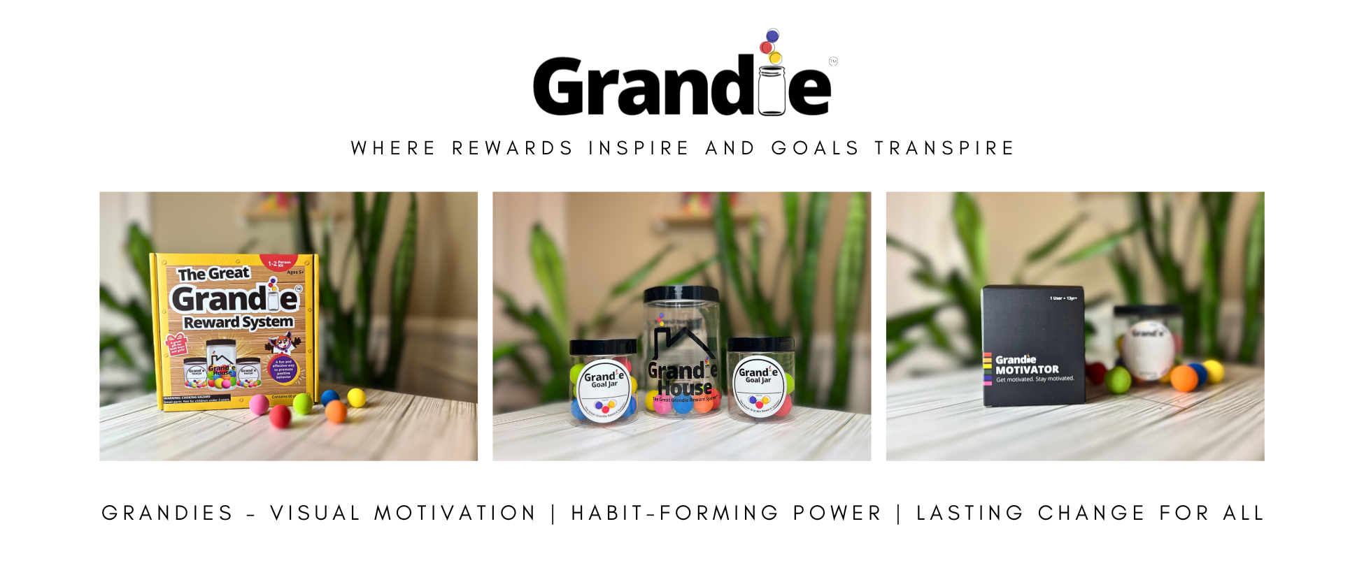 Grandie: Image of The Great Grandie Reward System Retail Box, the Grandie House, 2 Grandie Goal Jars, and the Grandie Motivator product