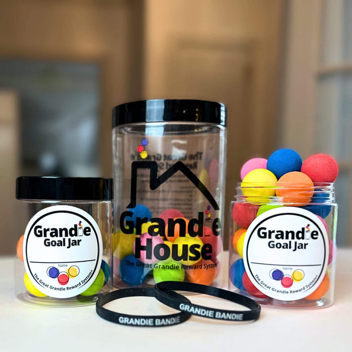 The Great Grandie Reward System includes 2 Grandie Goal Jars, Grandies, 2 Grandie Bandies, 1 Grandie House, and more